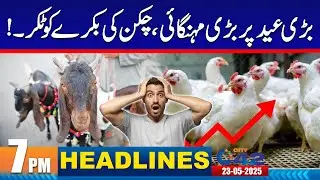 Chicken Price Hike | 7PM News Headlines | 23 May 2025 | City 42