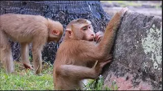 amazing! Leo never forgets the martial arts he learned & remembered while playing with his friends