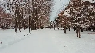 札幌の雪道を散歩（2024/1/10）