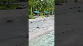 I will always love you 💜 #dronevideo #djimini3pro #beachprenup #beachwedding