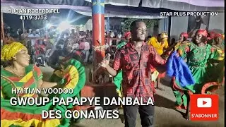 gwoup papapye danbala des gonaives ougan roberd