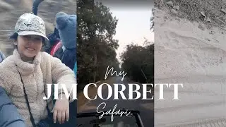 Vihaana’s Jungle Adventure: Tracking Tigers in Jim Corbett! 🐅