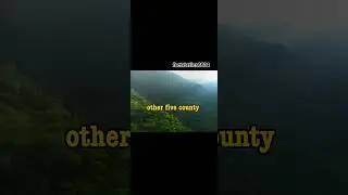 Amazon jungle😱😱#vairal #fastgrowth #amazon jungle#video #ama#amazingfacts 😱😱