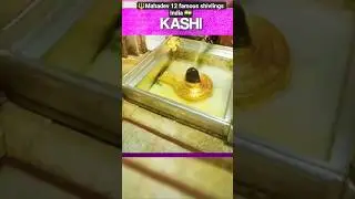 ##mahadev#12#world#famous#shivling#india#trending#youtubeshorts#shortvideo#shorts#short#love#viral