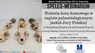 SpeleoWebinarium E25: Historia kota domowego w zapisie paleontologicznym jaskiń Jury Polskiej