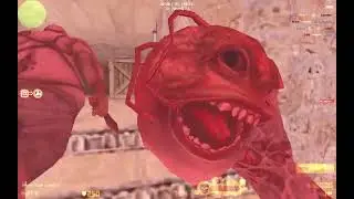 Counter Strike Xtreme V6 / Zombie Mode / De_Dust