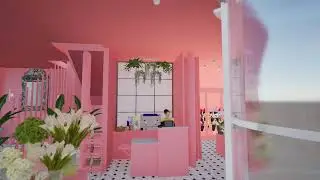 Vid&eacute;o RDC1