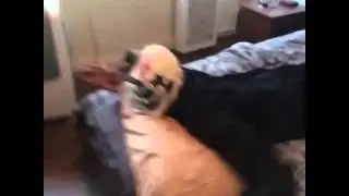 How I wake up every morning Vine