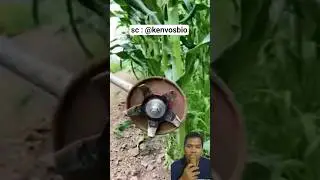 Modern Weed Remover for Smart Farming #farm #tool #crop #weed #modern #machine