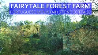 FAIRYTALE FOREST FARM - 1 ACRE, STONE COTTAGE & OLIVE TREES MOUNTAIN HOUSE FOR SALE CENTRAL PORTUGAL