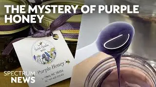 The only place in the world you can find purple honey