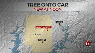Tree Falls On Woman's Car While Driving Amid Strong Winds In Craig County