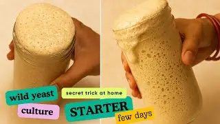 Starter/Homemade Yeast Only 2 Ingredients - Magic Starter l No Chemicals Yeast - 100% Natural
