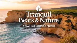 Peaceful Lounge Music 🌅 Relaxing Beats & Nature for a Calm Mind.