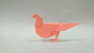 Pigeon Origami Tutorials II Hướng dẫn gấp con chim bồ câu 