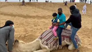 Dubai Desert Safari | Desert camel Ride | Desert sun set