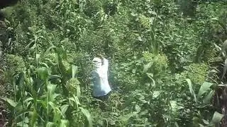 ملالة تهيج الاشجان 2