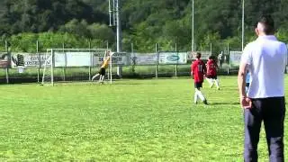 video pulcini 2004