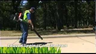 Yard Waste Management
