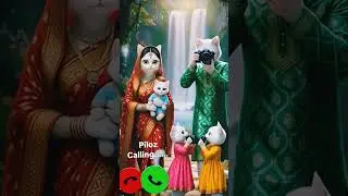 piloz calling ✨🤙viral🔥 ringtone mi#🤙viralshortvedeo#yt#short#vedeo#cute#cat#piloz#calling#mi#ring##