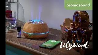 Lilywood, diffuser of essential oil & luminous Bluetooth speaker