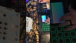 MPC Live 3 x Novation Bass Station 2 x Microcosm 