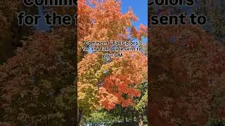 Whre to see the Fall colors in Raleigh or nearby? I love heading to the lakes.