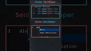 Junior Developer vs Senior Deloper