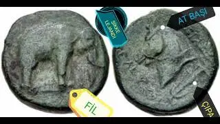 apameia | filler | s&uuml;vari birliği