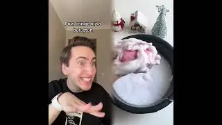 🤣👌👌👌2025 pov Must-Watch Crazy Clips Compilation #humor #fypシ #pov #fyp #foryou 😍😜