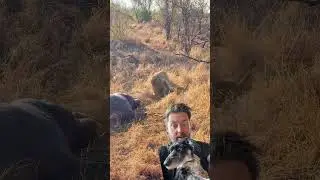 Обладает ли эта собака суперспособностями?