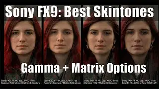 Sony FX9: Best Skintones - which Gamma + Matrix Options work best?