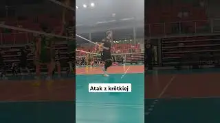Atak z kr&oacute;tkiej #reprezentacjapolski #wartazawiercie #brvolleys #shorts #plusliga #siatk&oacute;wka