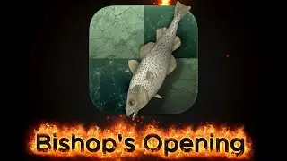 Can Stockfish BEAT every one with Bishop's Opening ??!!