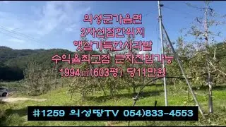 #1259 의성땅TV  5m도로접 큰차진입 마을근처 수확많은 사과밭 10년생 603평 6700만 (당11만) 물시설완비 전기 상수도가능 건축가능 전원생활 주말농장 #의성사과밭매매