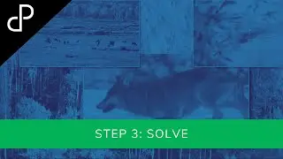 Step 3: SOLVE (How to Find High Leverage Solutions)