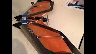LEGIT WING