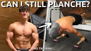 I Didn’t Train PLANCHE for 3 Months… Can I Still Do It?
