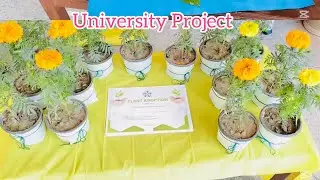 University Project 📽️| PR Campaign | Aqsa Yousaf | 