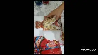 SCIENCE. KREATIV KO'RGAZMA.организм.