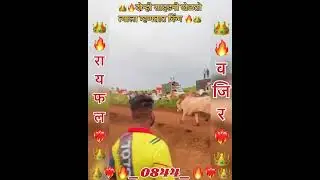 👑❤️&zwj;🔥 घरचा साज 0844 ❤️&zwj;🔥👑 Vajir & Raifal 👑 #reels #king #binjodsharyat #viralvideo #trending