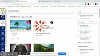 how to delete cached data cookies  Canvas