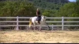Jaw Flexion and Neck Extension techniques. This is the AFTER video