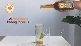 C&oacute; Honimore - kh&ocirc;ng lo virus