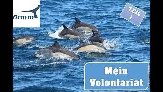 VLOG: Mein Volontariat f&uuml;r firmm in Tarifa | TEIL 1