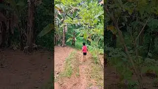 #nattuvazhi... #gramam