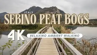 Relaxing Ambient Walking in Sebino Peat Bogs: Relaxing Nature Experience in Lombardy