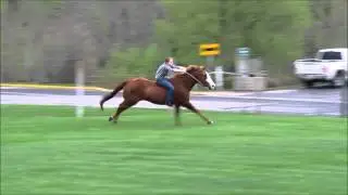 Bareback Gallop