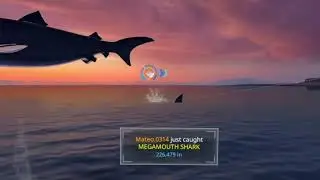 My bro KingKai&rsquo;s Megalodon Catch.