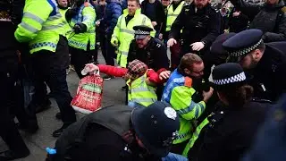 Scuffles break out at pro-Brexit rally in central London